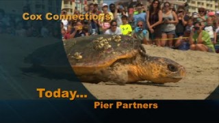 Pier Partners – Connections 807 Seg B